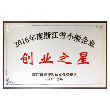 2016年度浙江省细小企业创业之星