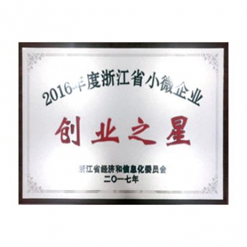 2016年度浙江省小微企业创业之星